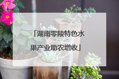 湖南零陵特色水果产业助农增收