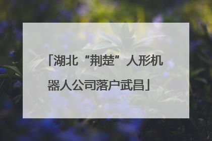 湖北“荆楚”人形机器人公司落户武昌