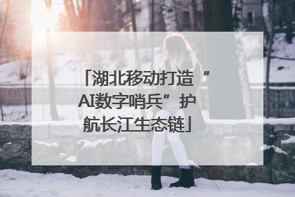 湖北移动打造“AI数字哨兵”护航长江生态链