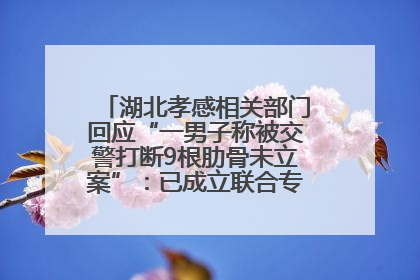 湖北孝感相关部门回应“一男子称被交警打断9根肋骨未立案”：已成立联合专班开展工作