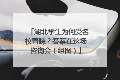 湖北学生为何受名校青睐？答案在这场咨询会（组图）