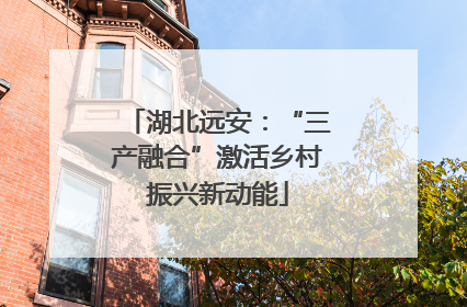 湖北远安：“三产融合”激活乡村振兴新动能
