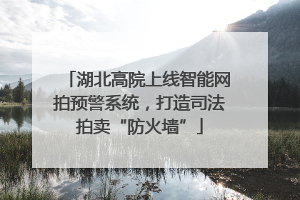 湖北高院上线智能网拍预警系统，打造司法拍卖“防火墙”