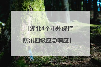 湖北4个市州保持防汛四级应急响应