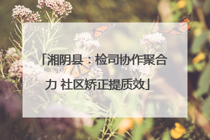 湘阴县：检司协作聚合力 社区矫正提质效