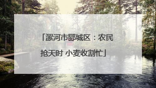 漯河市郾城区：农民抢天时 小麦收割忙