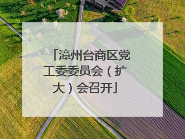 漳州台商区党工委委员会（扩大）会召开