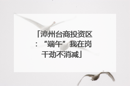 漳州台商投资区：“端午”我在岗 干劲不消减