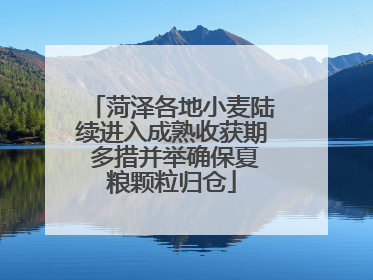 菏泽各地小麦陆续进入成熟收获期 多措并举确保夏粮颗粒归仓