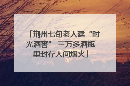 荆州七旬老人建“时光酒窖” 三万多酒瓶里封存人间烟火