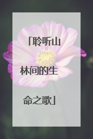 聆听山林间的生命之歌