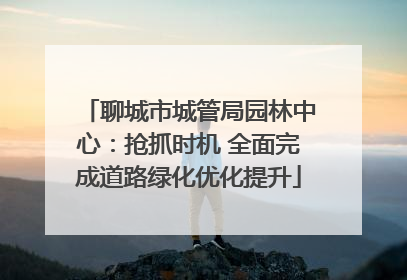 聊城市城管局园林中心：抢抓时机 全面完成道路绿化优化提升