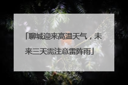 聊城迎来高温天气，未来三天需注意雷阵雨