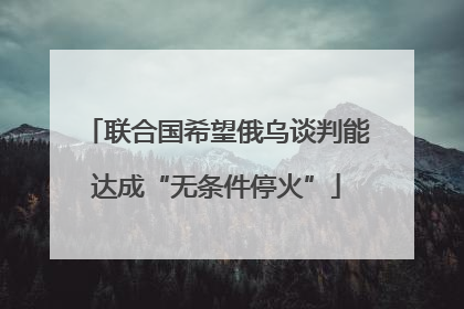 联合国希望俄乌谈判能达成“无条件停火”