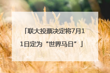 联大投票决定将7月11日定为“世界马日”