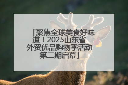 聚焦全球美食好味道！2025山东省外贸优品购物季活动第二期启幕