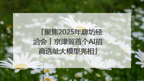 聚焦2025年廊坊经洽会丨京津冀首个AI招商选址大模型亮相