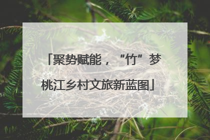 聚势赋能，“竹”梦桃江乡村文旅新蓝图