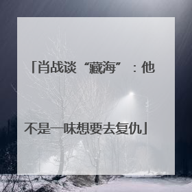 肖战谈“藏海”：他不是一味想要去复仇