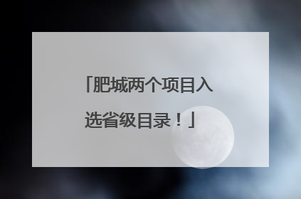 肥城两个项目入选省级目录！