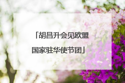 胡昌升会见欧盟国家驻华使节团