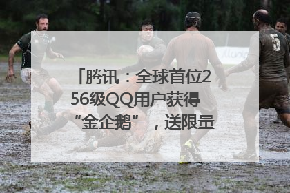 腾讯：全球首位256级QQ用户获得“金企鹅”，送限量版神秘惊喜等礼物
