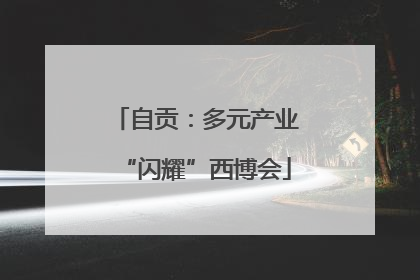 自贡：多元产业“闪耀”西博会