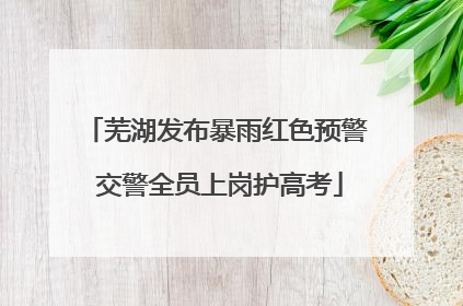 芜湖发布暴雨红色预警 交警全员上岗护高考