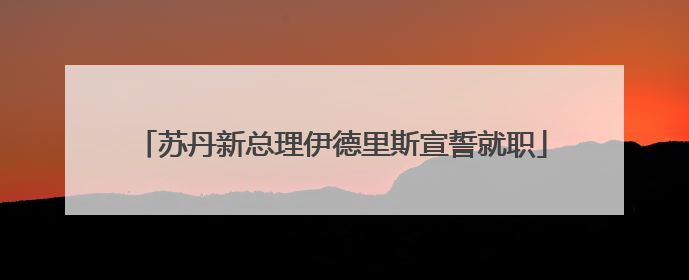 苏丹新总理伊德里斯宣誓就职
