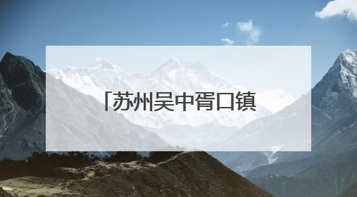苏州吴中胥口镇：“一老一小”共享浓情端午