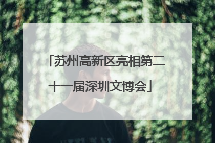 苏州高新区亮相第二十一届深圳文博会