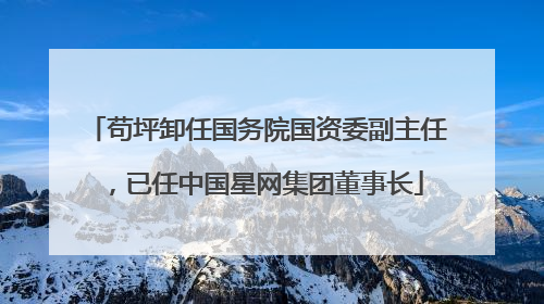 苟坪卸任国务院国资委副主任，已任中国星网集团董事长