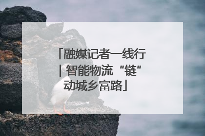 融媒记者一线行｜智能物流“链”动城乡富路