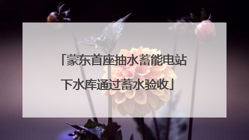 蒙东首座抽水蓄能电站下水库通过蓄水验收