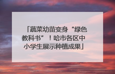 蔬菜幼苗变身“绿色教科书”！哈市各区中小学生展示种植成果