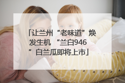 让兰州“老味道”焕发生机 “兰白946”白兰瓜即将上市