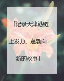 记录天津港链上发力、蓬勃向新的故事