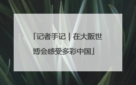 记者手记｜在大阪世博会感受多彩中国