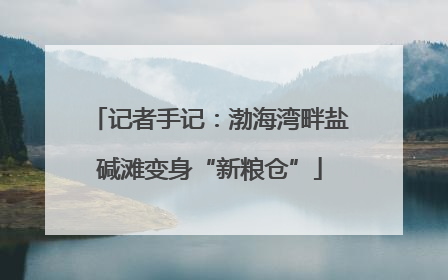 记者手记：渤海湾畔盐碱滩变身“新粮仓”