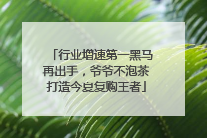 行业增速第一黑马再出手，爷爷不泡茶打造今夏复购王者