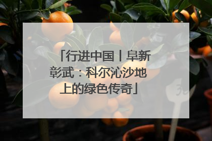 行进中国丨阜新彰武：科尔沁沙地上的绿色传奇