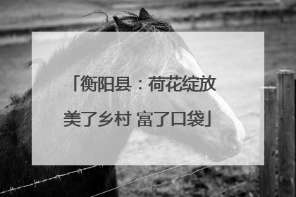 衡阳县：荷花绽放 美了乡村 富了口袋