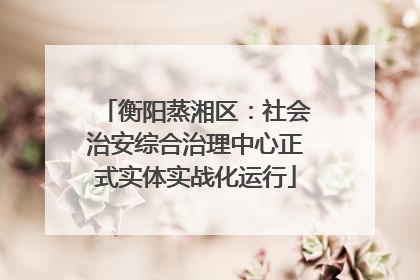 衡阳蒸湘区：社会治安综合治理中心正式实体实战化运行