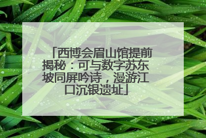 西博会眉山馆提前揭秘：可与数字苏东坡同屏吟诗，漫游江口沉银遗址