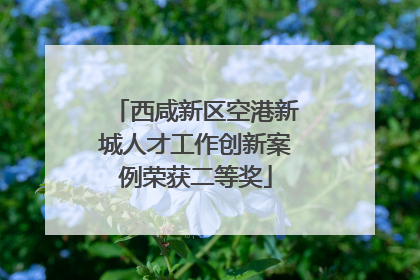 西咸新区空港新城人才工作创新案例荣获二等奖