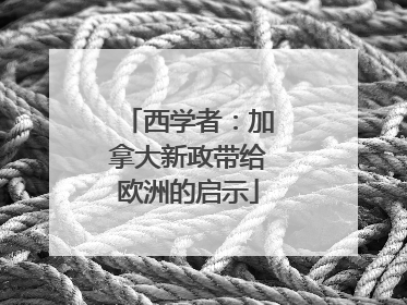 西学者：加拿大新政带给欧洲的启示