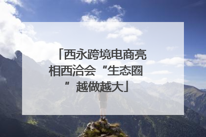 西永跨境电商亮相西洽会“生态圈”越做越大