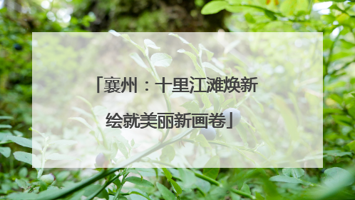 襄州：十里江滩焕新 绘就美丽新画卷
