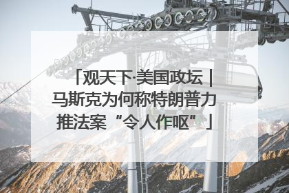 观天下·美国政坛｜马斯克为何称特朗普力推法案“令人作呕”