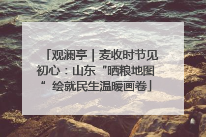 观澜亭｜麦收时节见初心：山东“晒粮地图”绘就民生温暖画卷